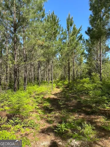 a backyard of a house with lots of plants and trees
