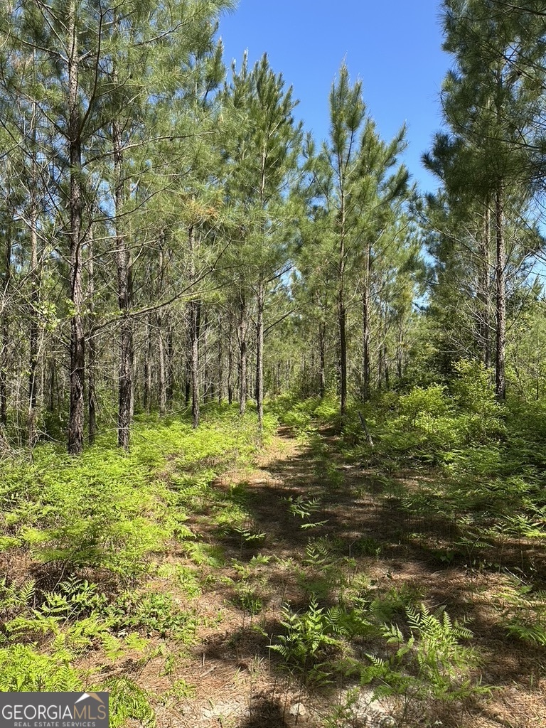 0 Jim Pruett Road Eastman, GA 31023 - Photo 3 of 78 a backyard of a house with lots of green space
