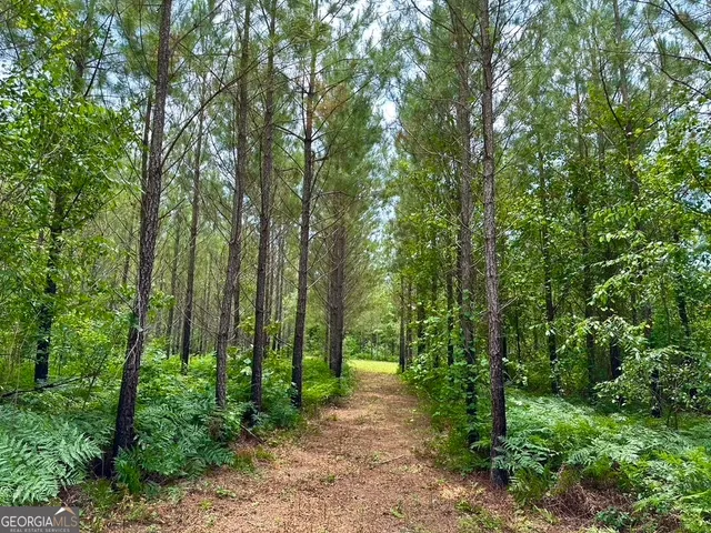 a view of outdoor space with a garden and trees