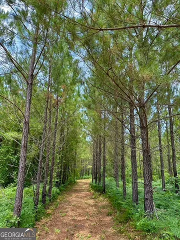 a view of swimming pool with trees in the background