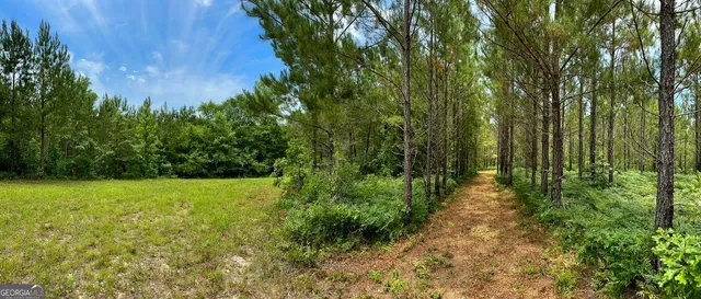 a view of a large yard with lots of green space