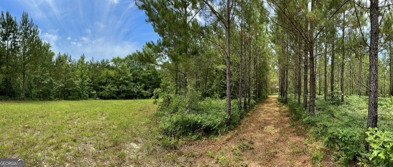 0 Jim Pruett Road Eastman, GA 31023 - Photo 33 of 78 a view of a yard with plants and a bench