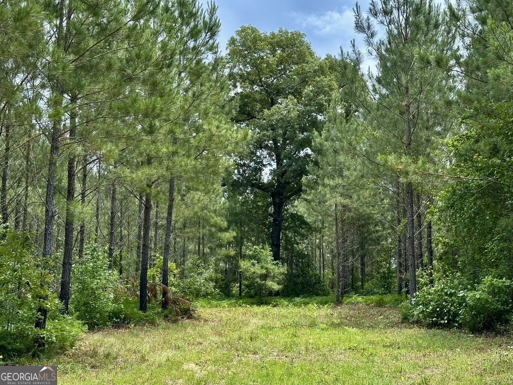 0 Jim Pruett Road Eastman, GA 31023 - Photo 34 of 78