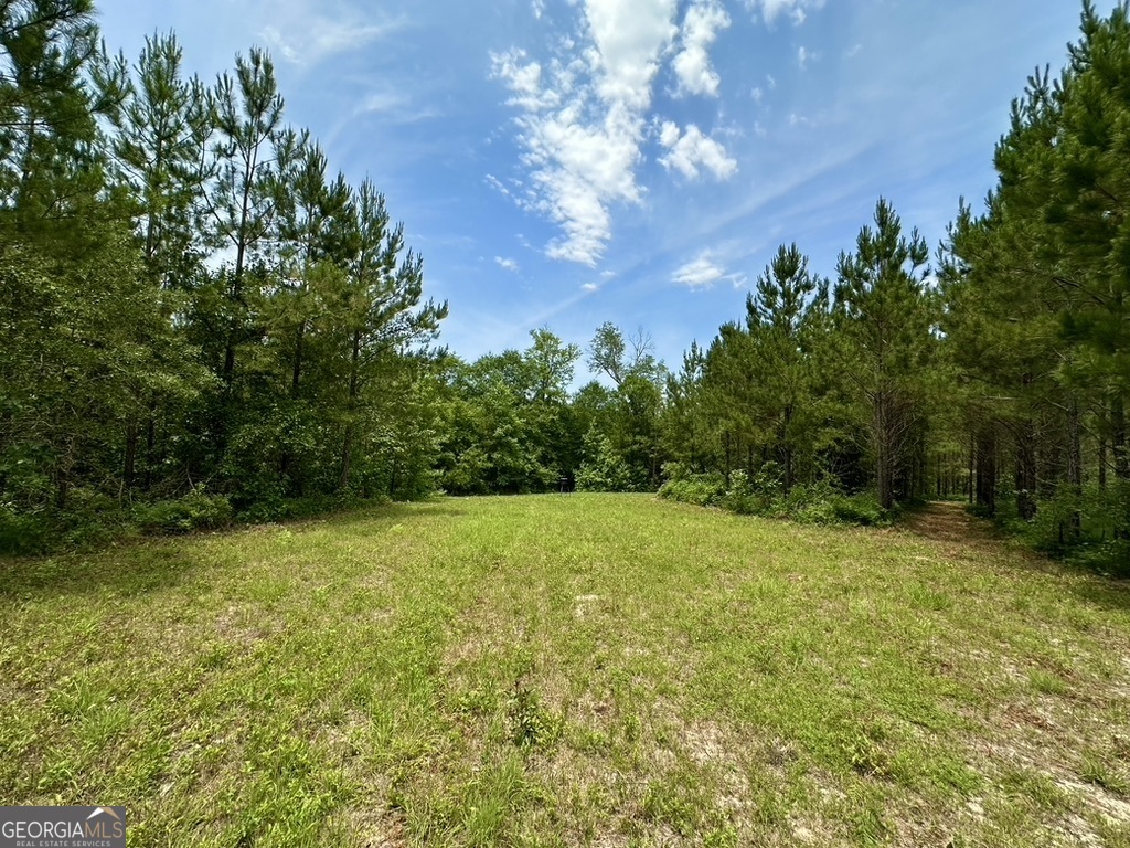 0 Jim Pruett Road Eastman, GA 31023 - Photo 35 of 78 a view of an outdoor space and a yard