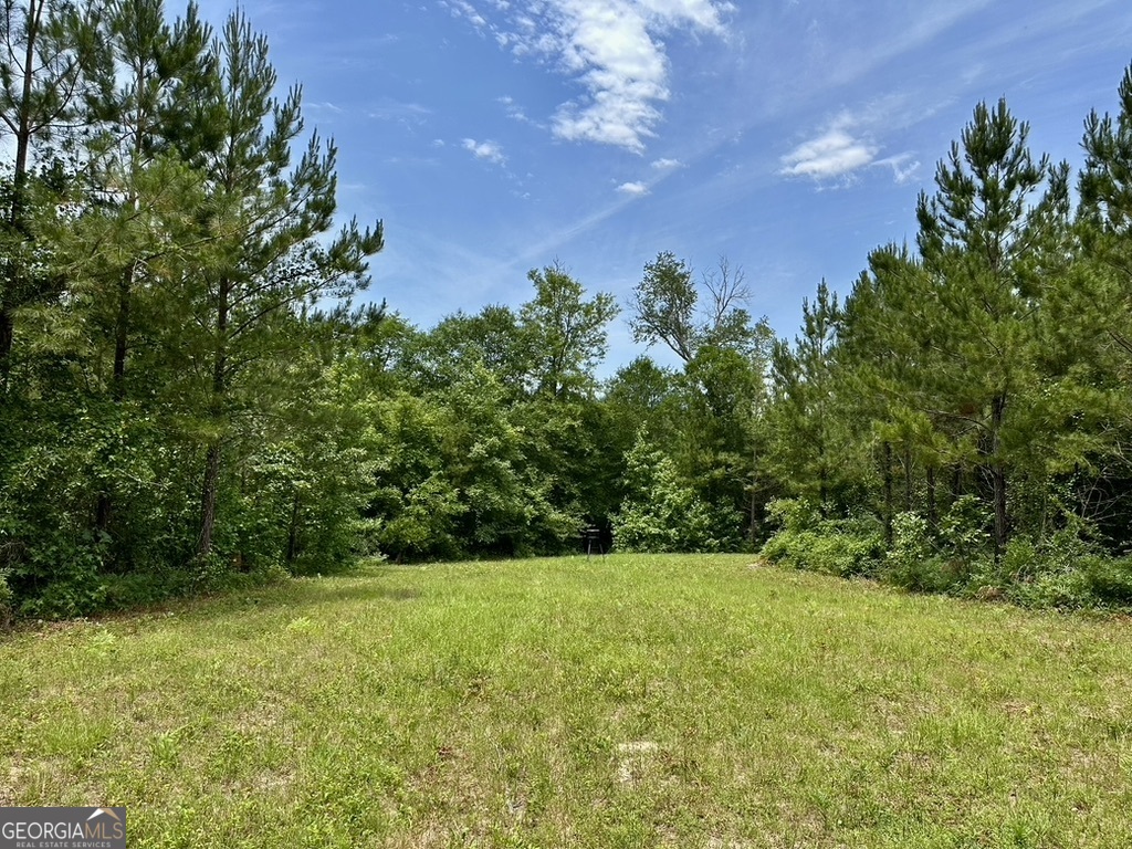 0 Jim Pruett Road Eastman, GA 31023 - Photo 36 of 78 a backyard of a house with lots of green space