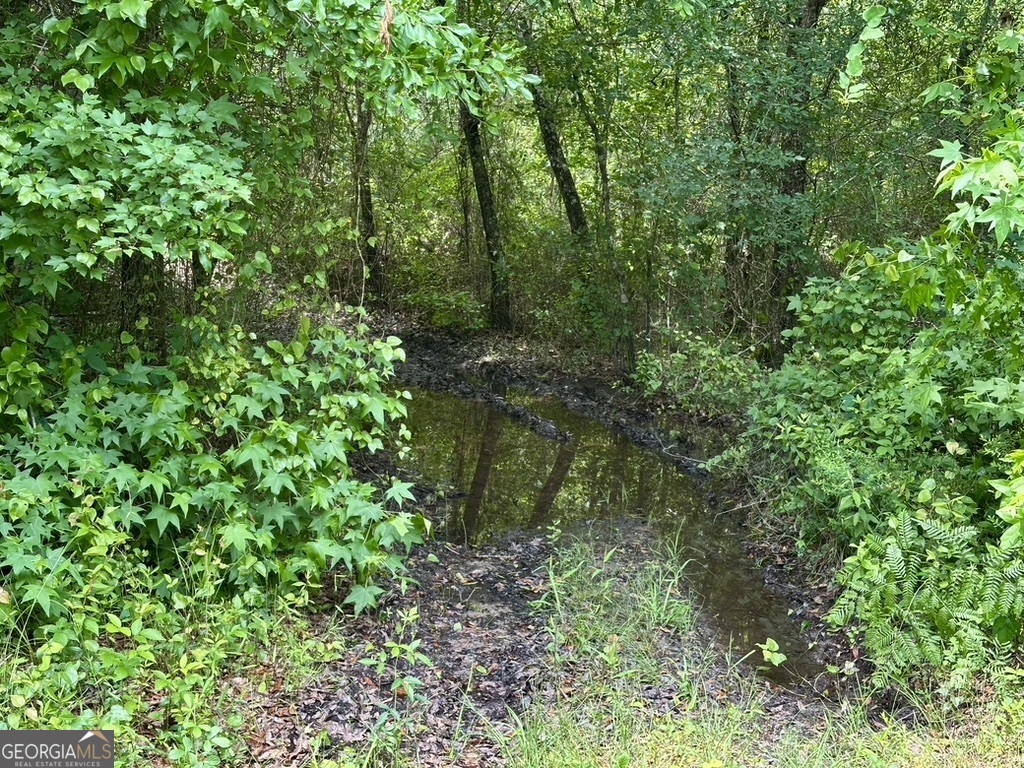 0 Jim Pruett Road Eastman, GA 31023 - Photo 37 of 78 a view of a lush green forest