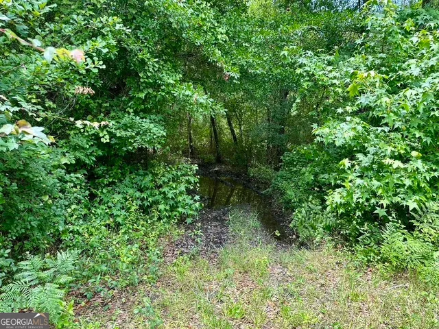 a view of a forest with trees