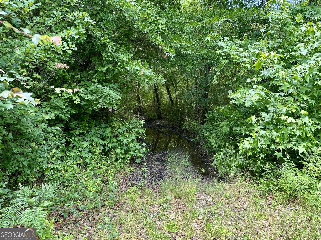 0 Jim Pruett Road Eastman, GA 31023 - Photo 38 of 78