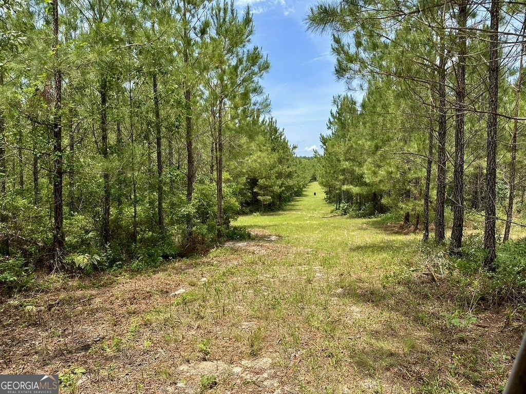 0 Jim Pruett Road Eastman, GA 31023 - Photo 39 of 78