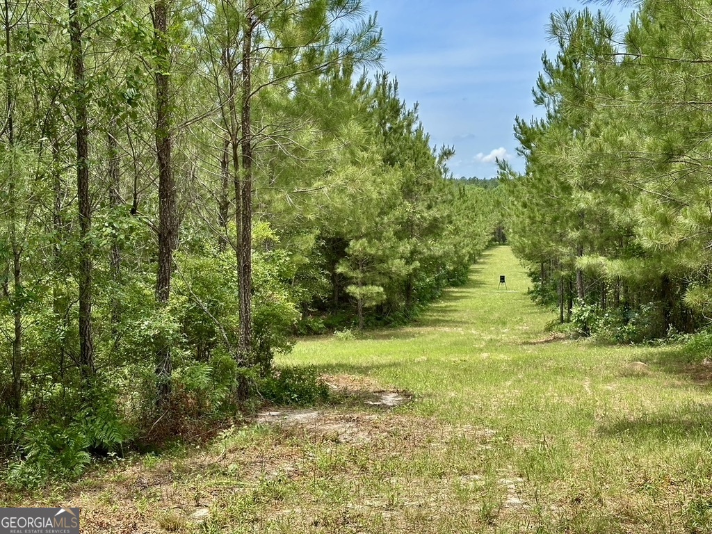 0 Jim Pruett Road Eastman, GA 31023 - Photo 40 of 78 a view of a yard with an trees