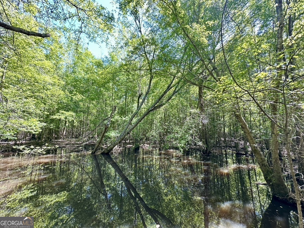 0 Jim Pruett Road Eastman, GA 31023 - Photo 4 of 78