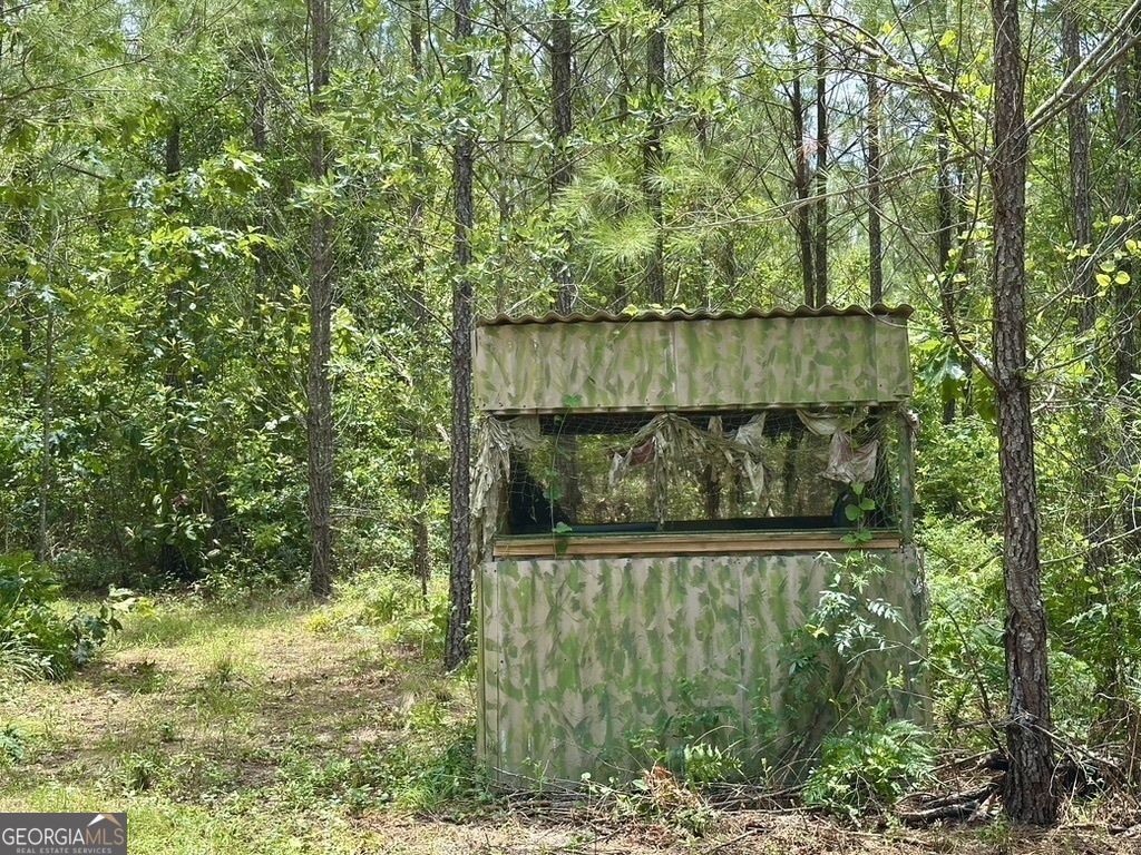 0 Jim Pruett Road Eastman, GA 31023 - Photo 42 of 78 a view of a backyard