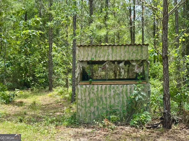 a view of backyard with wooden floor