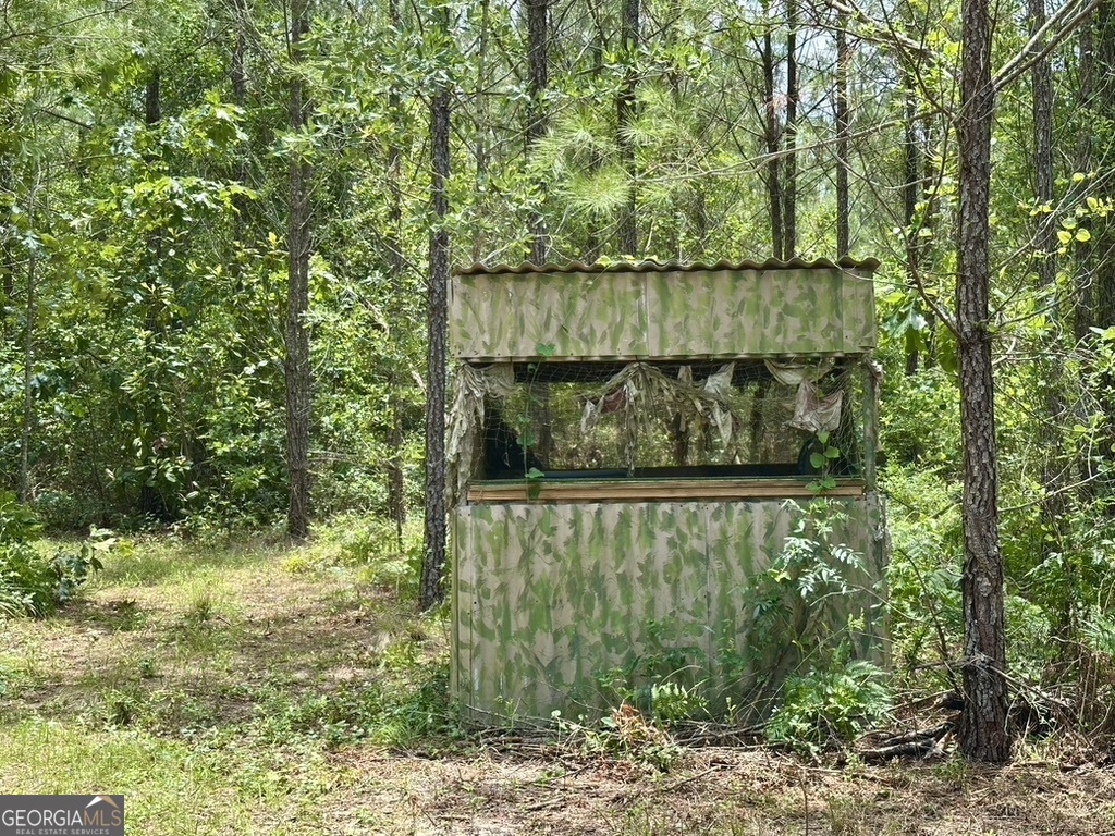 0 Jim Pruett Road Eastman, GA 31023 - Photo 43 of 78