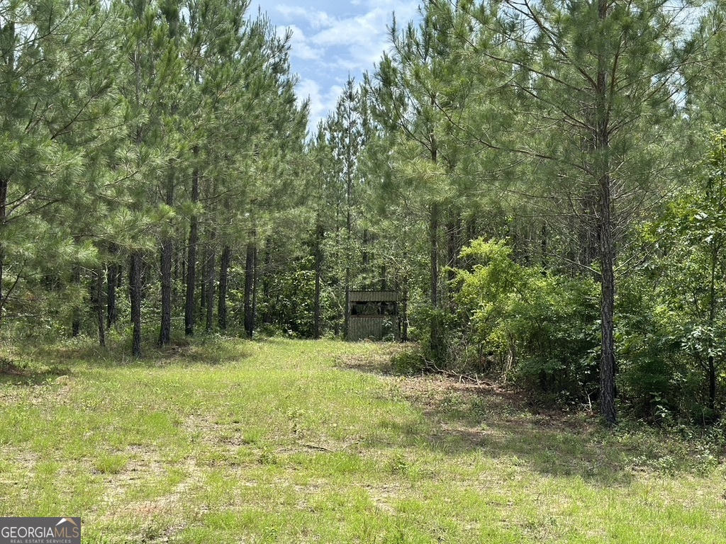 0 Jim Pruett Road Eastman, GA 31023 - Photo 44 of 78 a view of outdoor space with trees all around