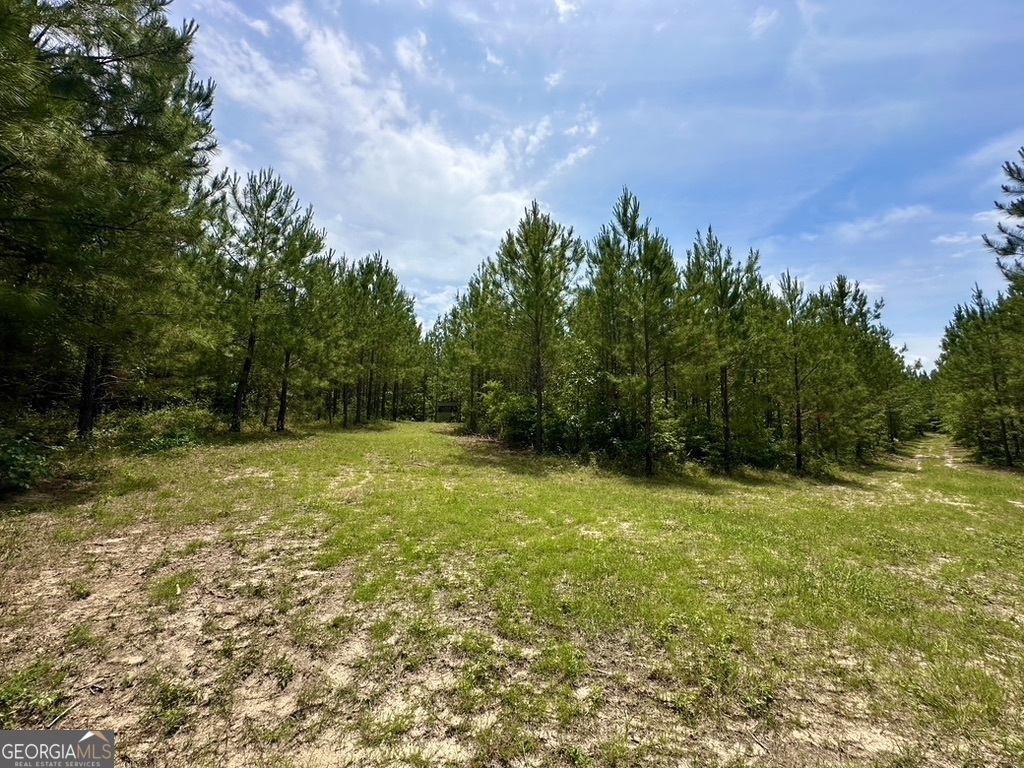 0 Jim Pruett Road Eastman, GA 31023 - Photo 45 of 78 a view of a field with trees in the background