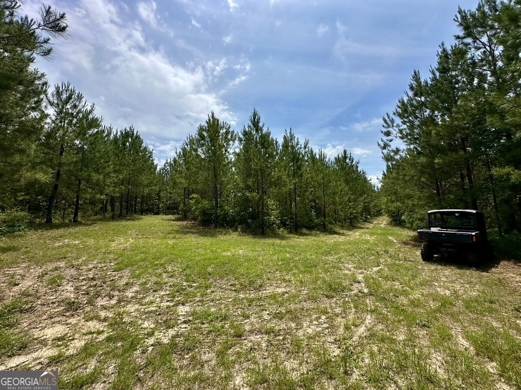 0 Jim Pruett Road Eastman, GA 31023 - Photo 46 of 78 a backyard of a house with lots of green space