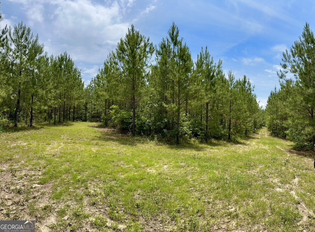 0 Jim Pruett Road Eastman, GA 31023 - Photo 47 of 78 a view of outdoor space with a garden and trees