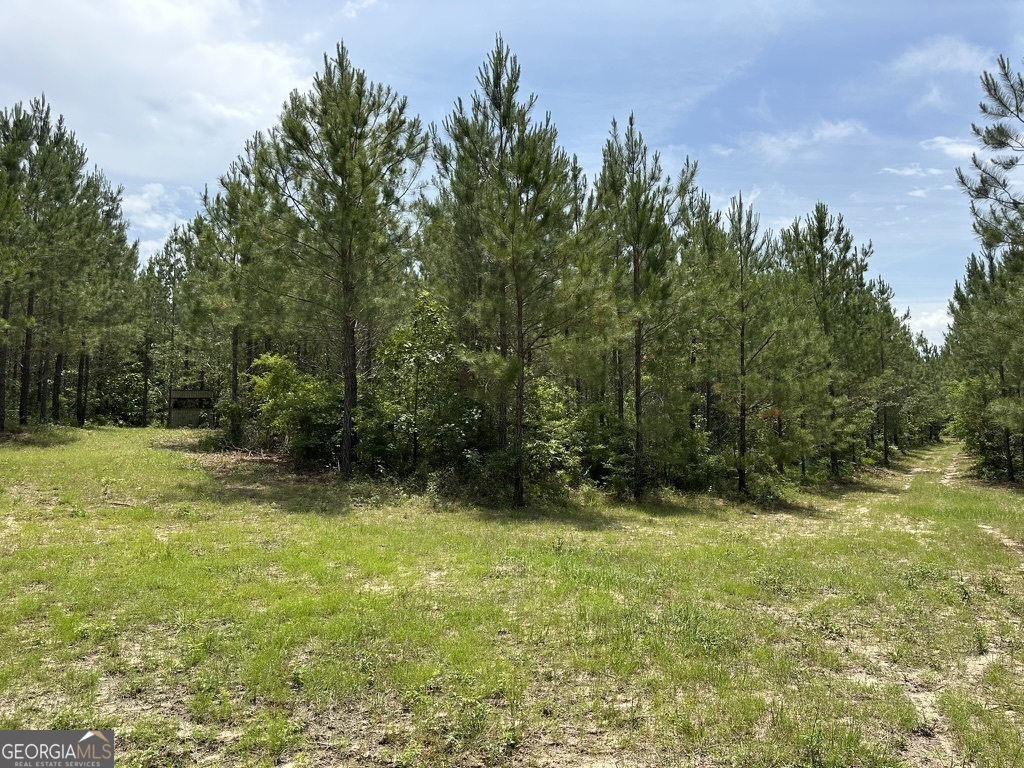 0 Jim Pruett Road Eastman, GA 31023 - Photo 48 of 78 a view of outdoor space with a garden and trees