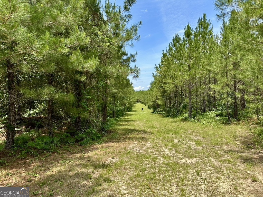 0 Jim Pruett Road Eastman, GA 31023 - Photo 49 of 78