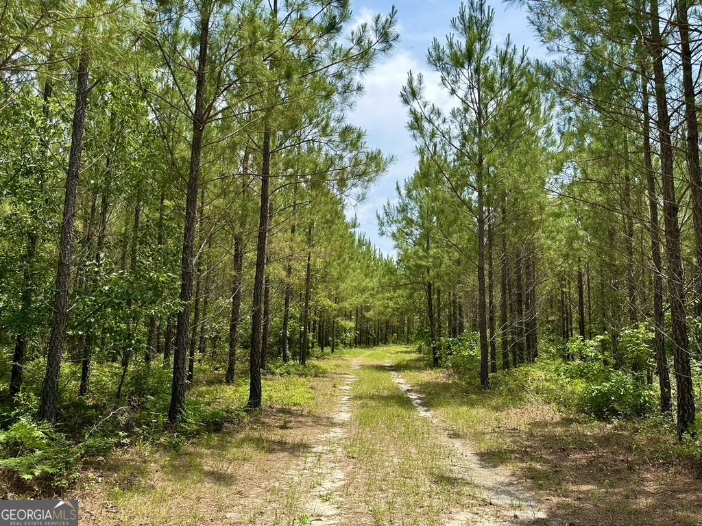 0 Jim Pruett Road Eastman, GA 31023 - Photo 50 of 78 a view of swimming pool with trees in the background