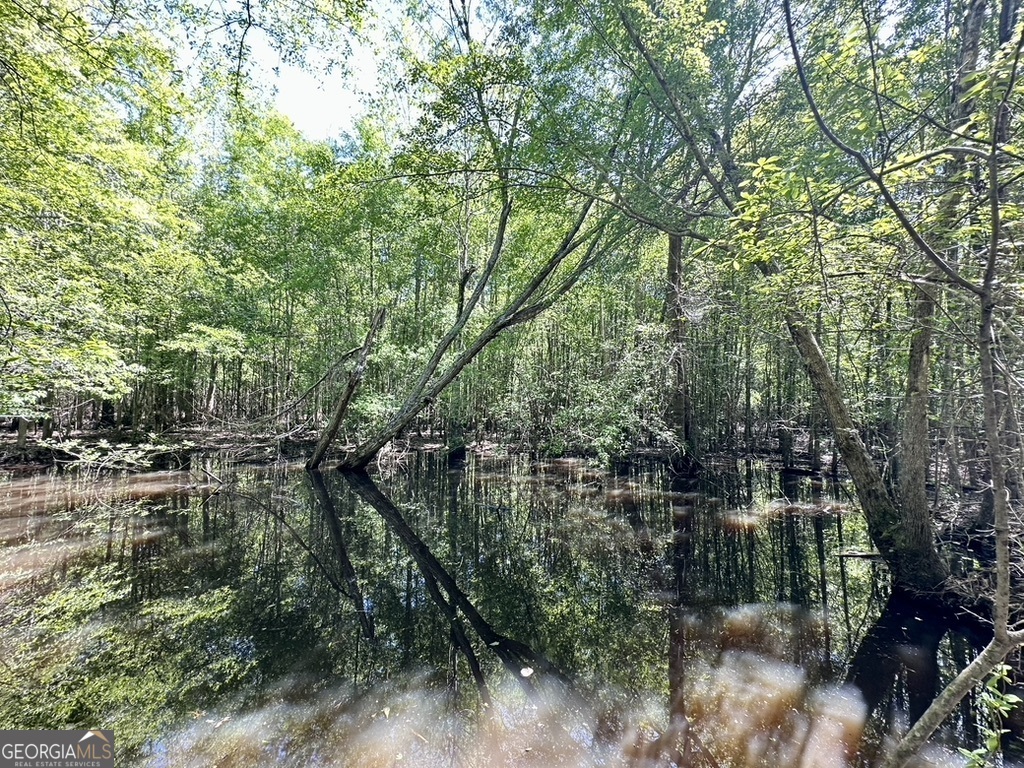 0 Jim Pruett Road Eastman, GA 31023 - Photo 5 of 78