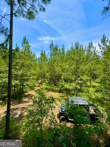 $748,984 | 0 Jim Pruett Road, Eastman, GA 31023