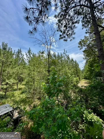 $748,984 | 0 Jim Pruett Road, Eastman, GA 31023