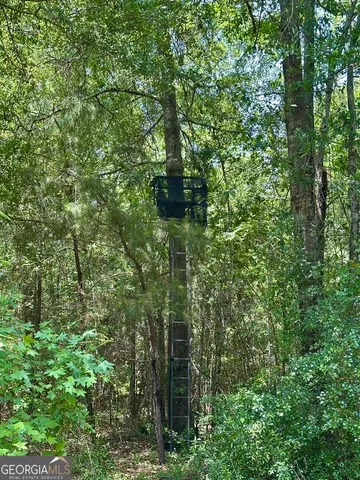 $748,984 | 0 Jim Pruett Road, Eastman, GA 31023