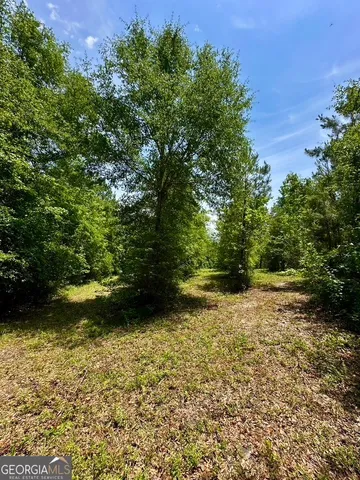 $748,984 | 0 Jim Pruett Road, Eastman, GA 31023