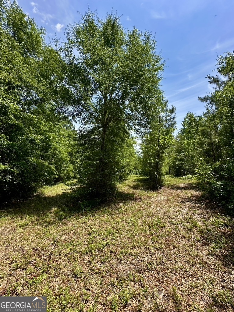0 Jim Pruett Road Eastman, GA 31023 - Photo 55 of 78 a view of a yard with trees in front of it