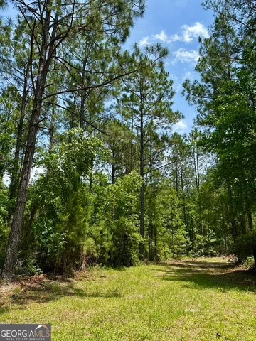 $748,984 | 0 Jim Pruett Road, Eastman, GA 31023