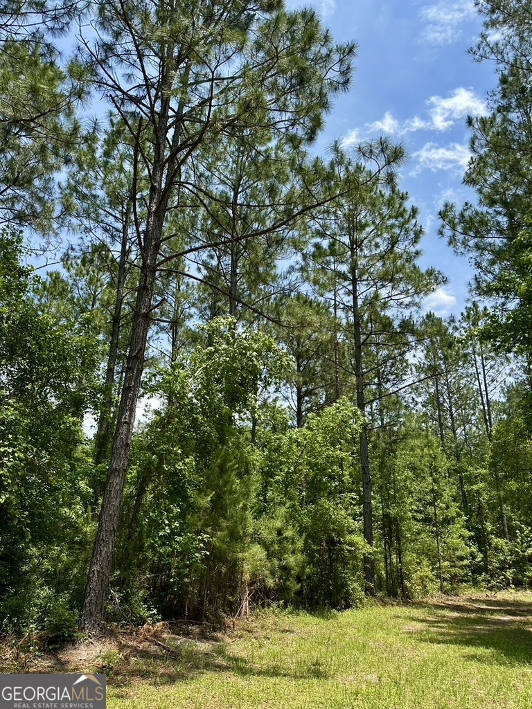 0 Jim Pruett Road Eastman, GA 31023 - Photo 57 of 78