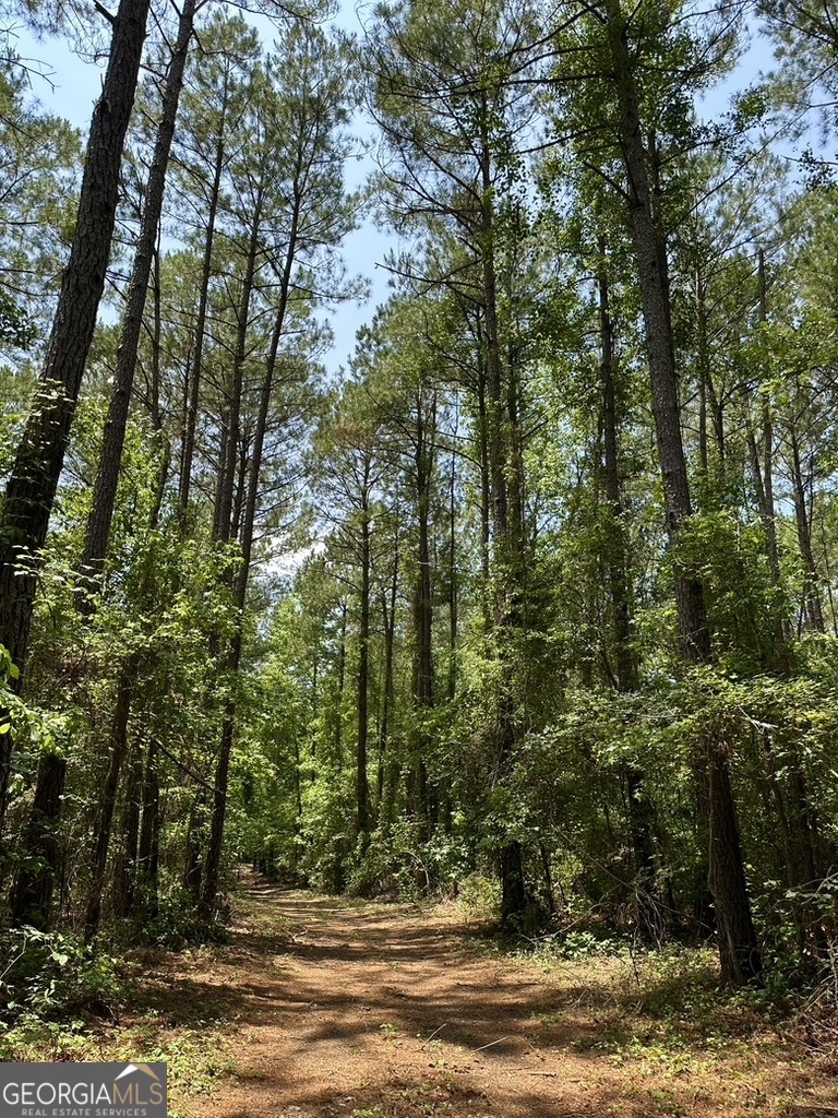 0 Jim Pruett Road Eastman, GA 31023 - Photo 58 of 78