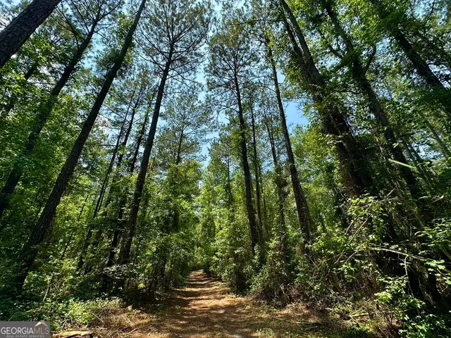 $748,984 | 0 Jim Pruett Road, Eastman, GA 31023