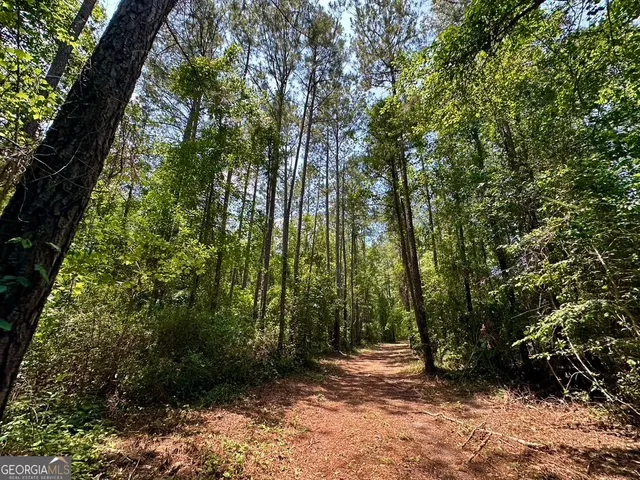 $748,984 | 0 Jim Pruett Road, Eastman, GA 31023