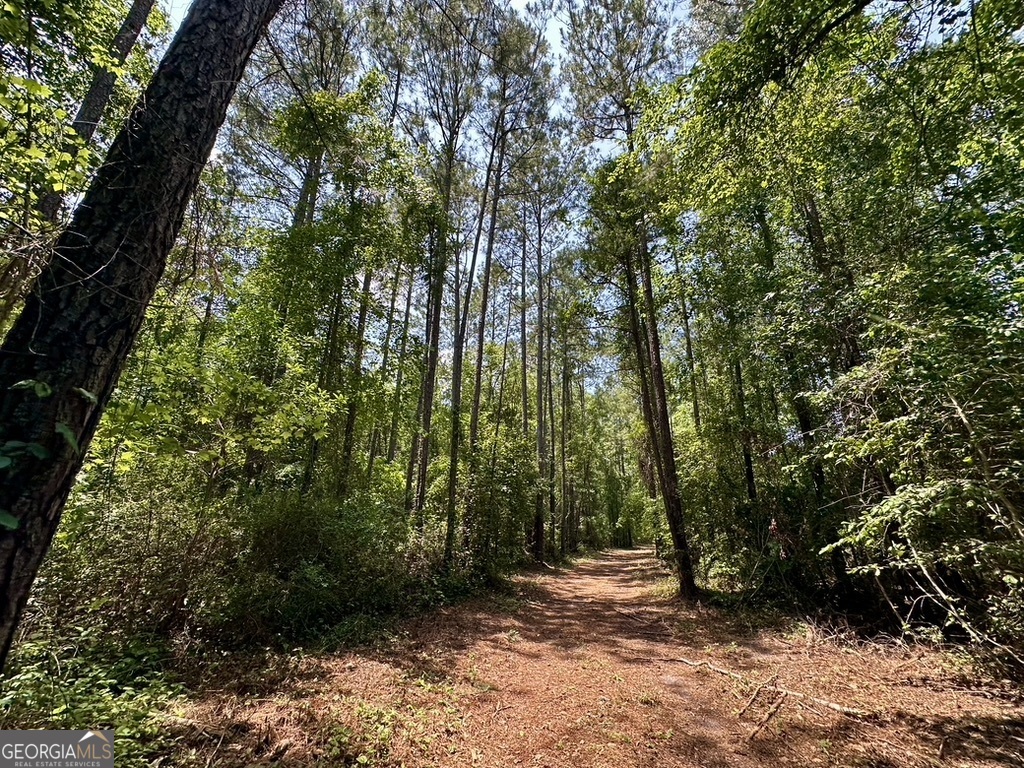 0 Jim Pruett Road Eastman, GA 31023 - Photo 60 of 78 a big yard with lots of green space and trees