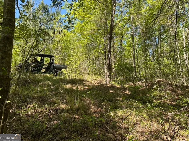 a view of a yard with a tree