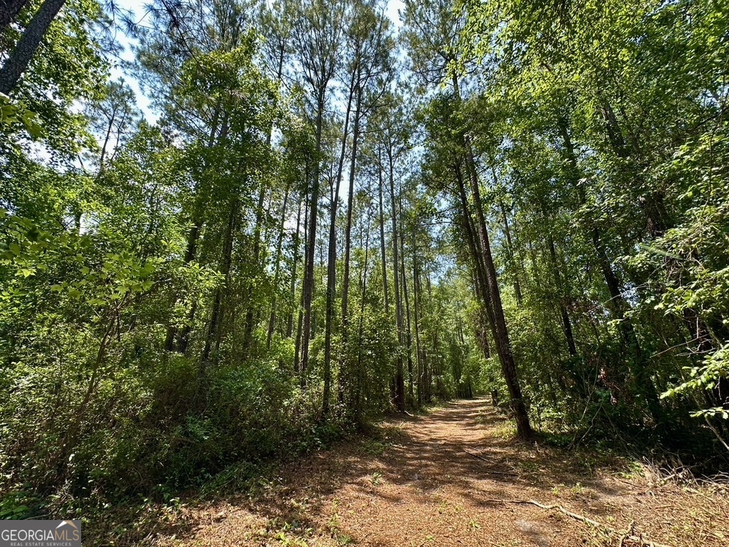 0 Jim Pruett Road Eastman, GA 31023 - Photo 61 of 78