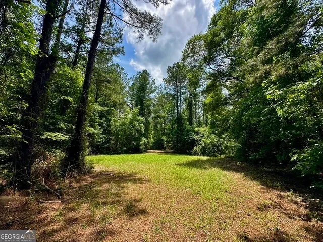 $748,984 | 0 Jim Pruett Road, Eastman, GA 31023