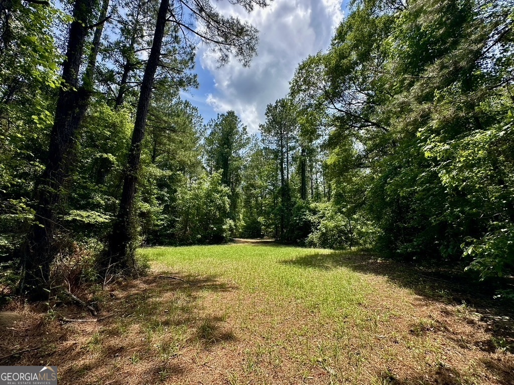 0 Jim Pruett Road Eastman, GA 31023 - Photo 63 of 78 a view of an outdoor space and a yard