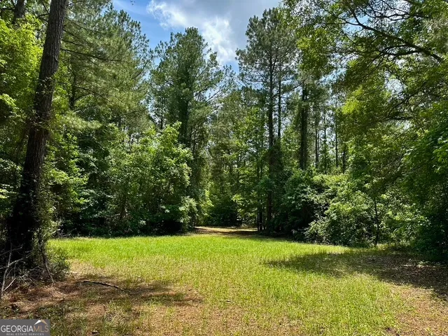 $748,984 | 0 Jim Pruett Road, Eastman, GA 31023