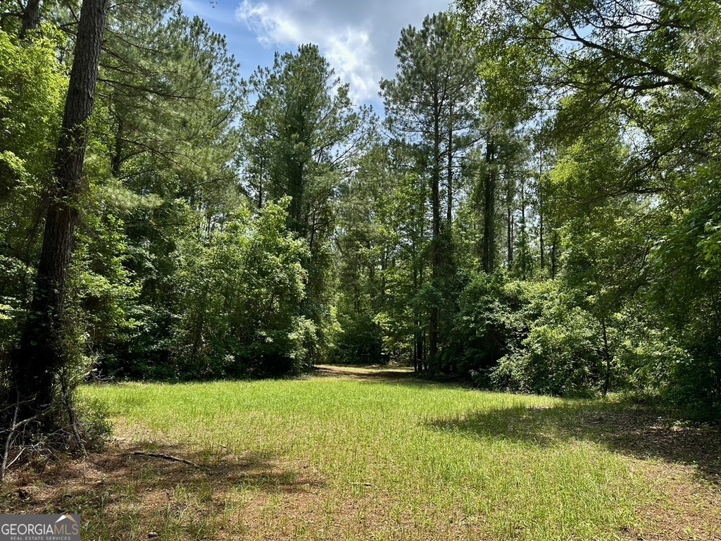 0 Jim Pruett Road Eastman, GA 31023 - Photo 64 of 78 a view of outdoor space with deck and yard