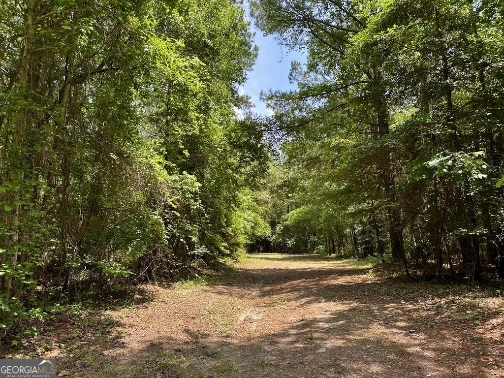 0 Jim Pruett Road Eastman, GA 31023 - Photo 65 of 78