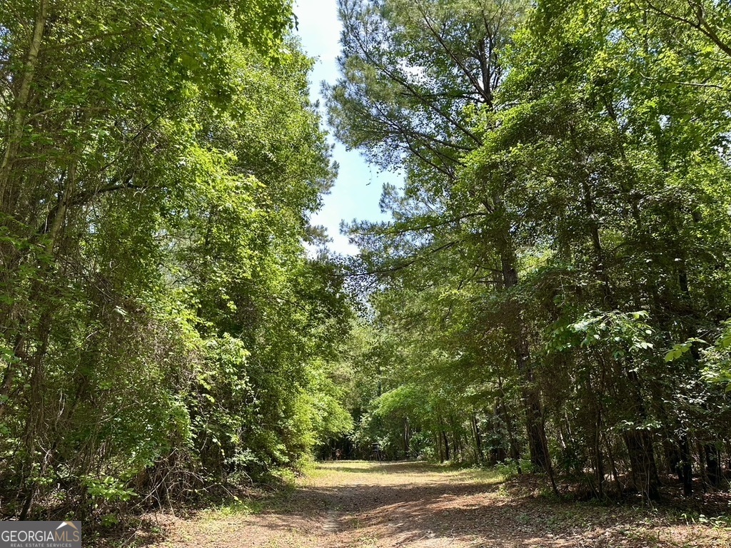 0 Jim Pruett Road Eastman, GA 31023 - Photo 66 of 78 a view of a yard with a tree