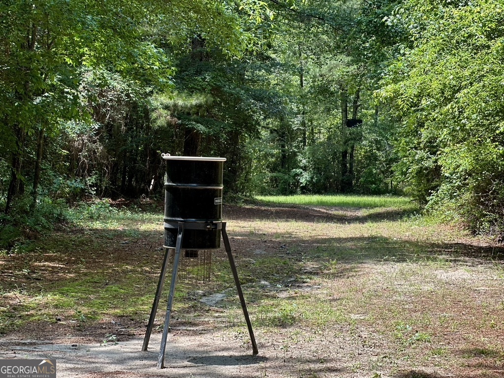 0 Jim Pruett Road Eastman, GA 31023 - Photo 68 of 78 a view of backyard with wooden floor