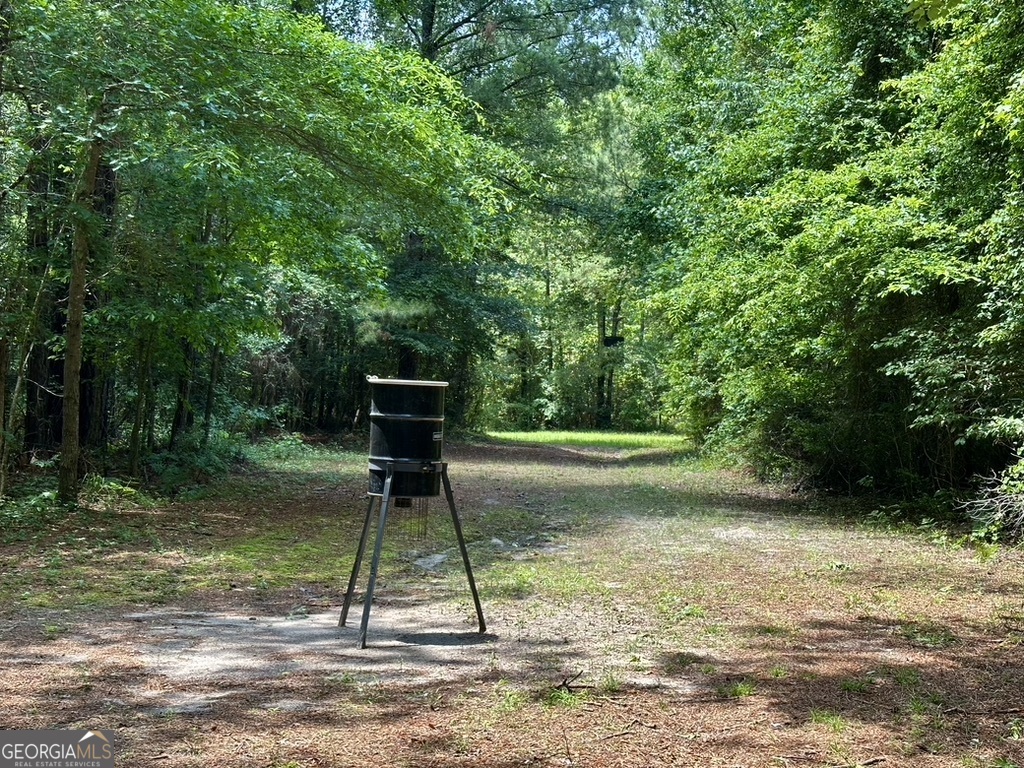 0 Jim Pruett Road Eastman, GA 31023 - Photo 69 of 78 a backyard of a house with lots of green space
