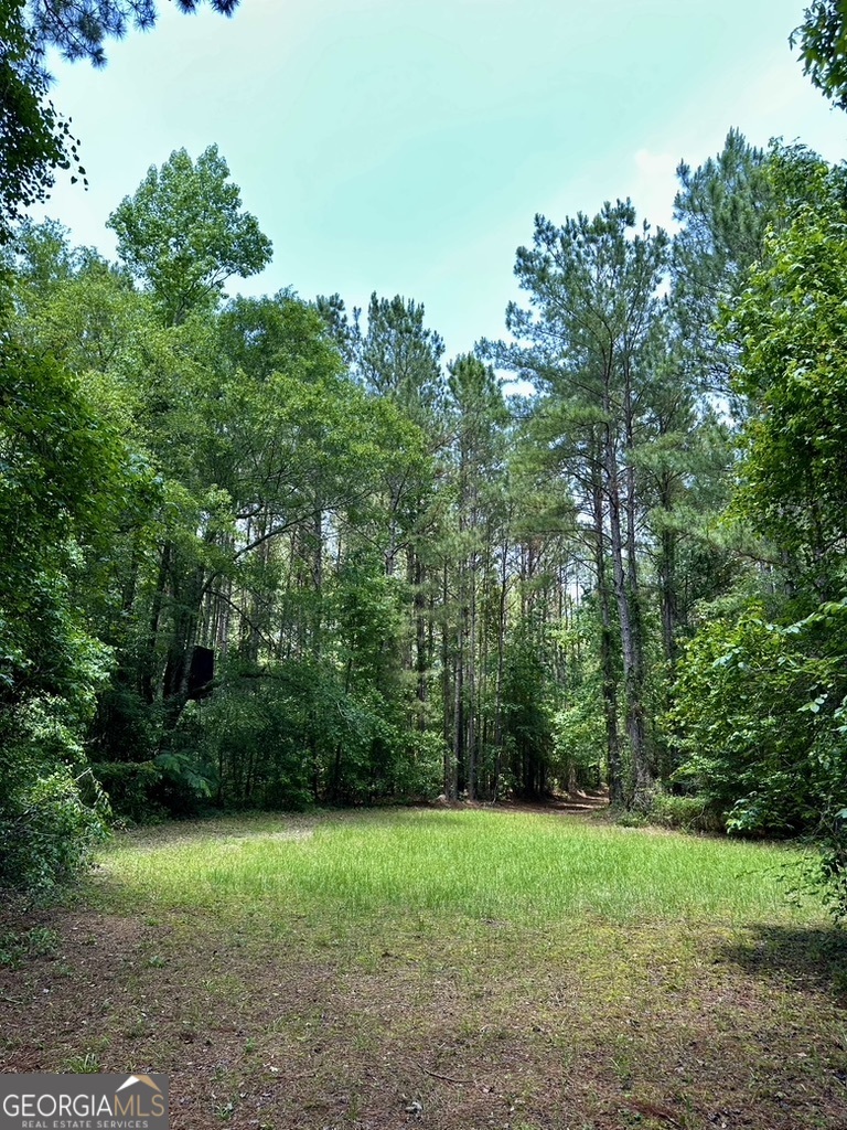 0 Jim Pruett Road Eastman, GA 31023 - Photo 70 of 78 a view of a big yard with plants and large trees