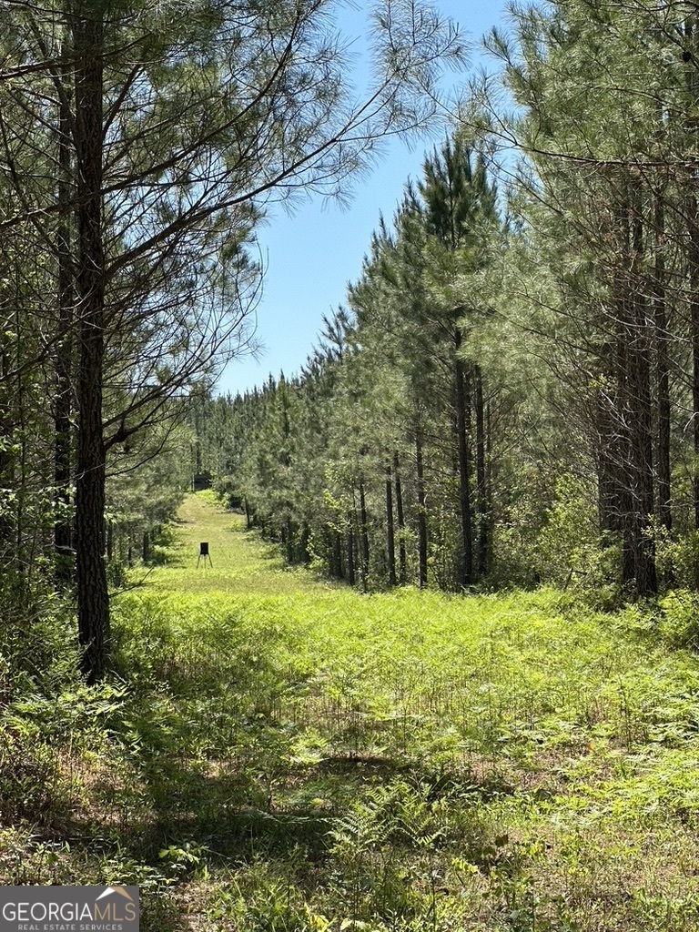 0 Jim Pruett Road Eastman, GA 31023 - Photo 7 of 78 a view of swimming pool with a yard