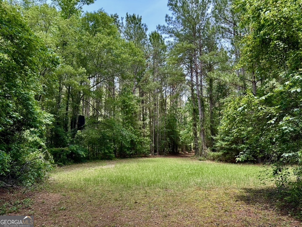 0 Jim Pruett Road Eastman, GA 31023 - Photo 71 of 78 a view of a yard with a trees